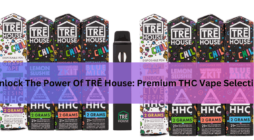 Unlock The Power Of TRĒ House Premium THC Vape Selection