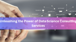Unleashing the Power of Data Science Consulting Services