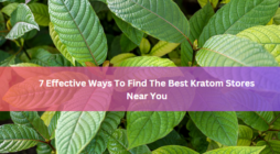 7 Effective Ways To Find The Best Kratom Stores Near You